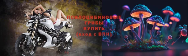 метадон Аркадак