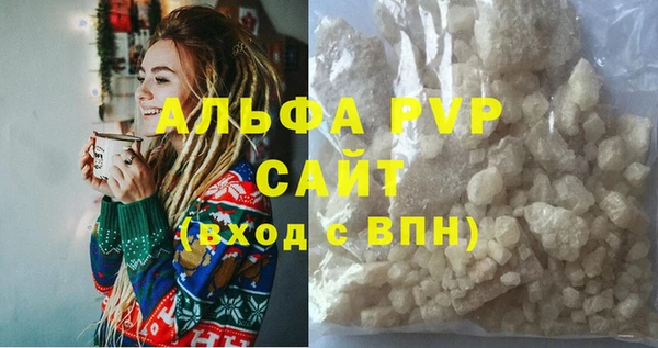 шишки Арсеньев