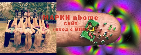 шишки Арсеньев
