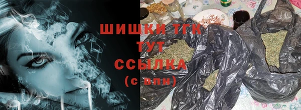 шишки Арсеньев