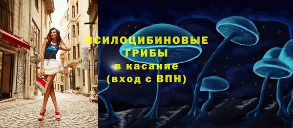 метадон Армянск