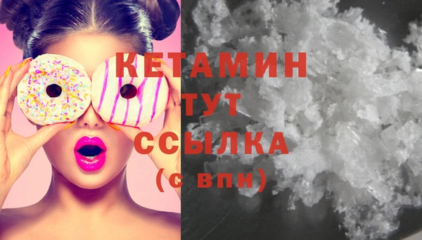 шишки Арсеньев