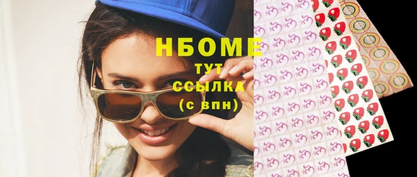 шишки Арсеньев