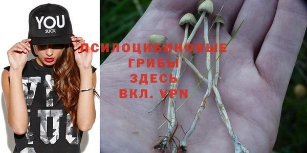 метадон Аркадак