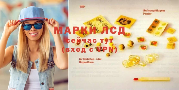 шишки Арсеньев