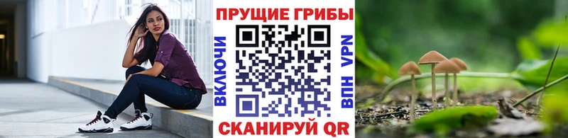 Галлюциногенные грибы MAGIC MUSHROOMS  Раменское 