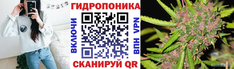 где купить наркотик  Раменское  Бошки Шишки SATIVA & INDICA 